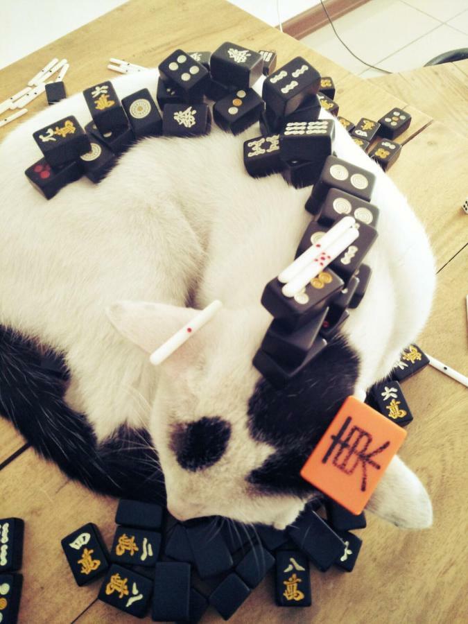 세부 Cat Japanese Only At Uh Huh House 호스텔 외부 사진