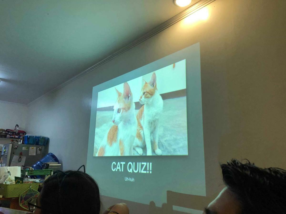 세부 Cat Japanese Only At Uh Huh House 호스텔 외부 사진